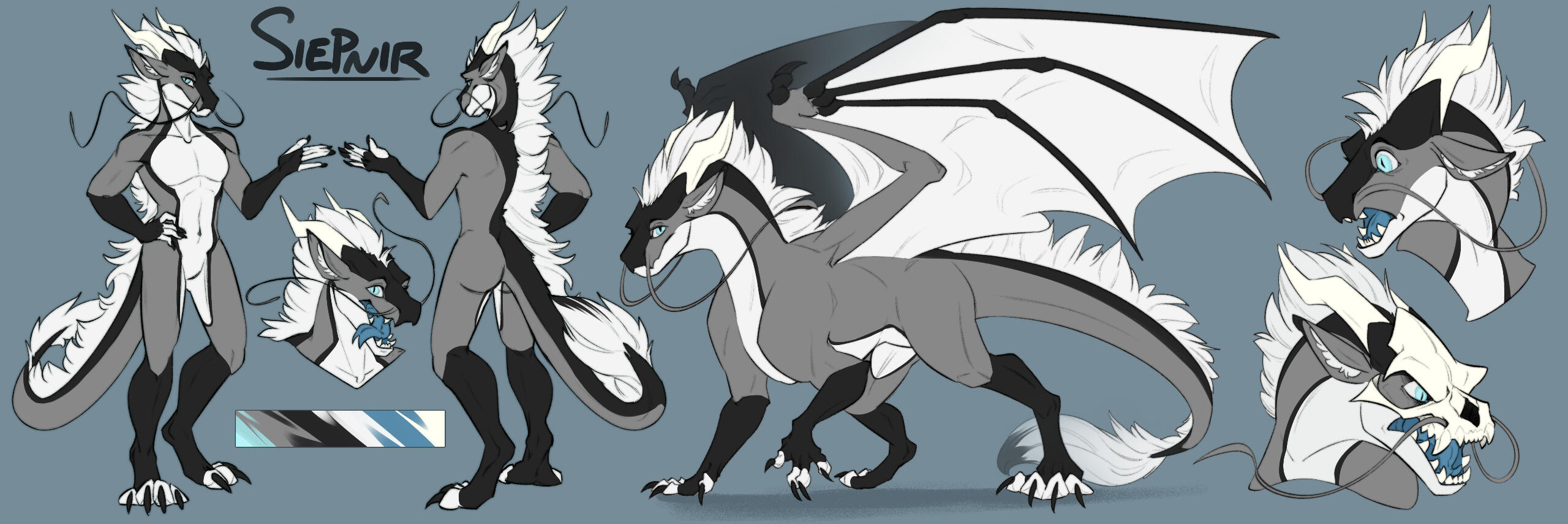 Example of a 300 ref sheet